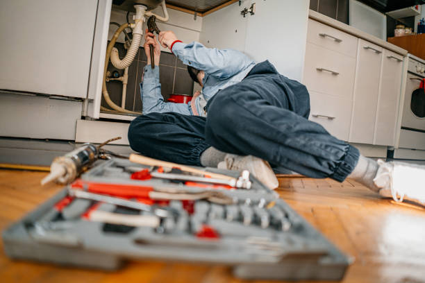 Best Plumbing Inspection Services  in Tarentum, PA