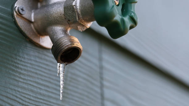 Best Drain Cleaning Services  in Tarentum, PA